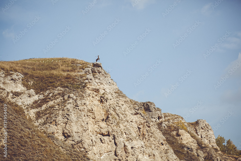 Bird Perched on Cliff with Majestic Mountains and Clear Blue Sky Background Bird Perched on Cliff with Majestic Mountains and Clear Blue Sky Background