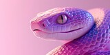 Close-Up of a Happy Snake Head Against a Minimalist Light Purple Gradient Background