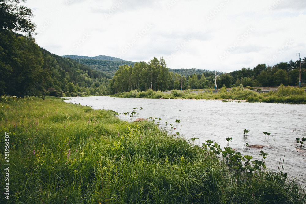 Scenic view of a river flowing through a lush green valley with distant mountains under a cloudy sky