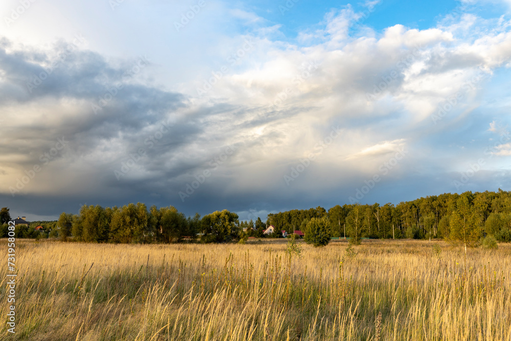 rural landscape with meadow grasses, with thunderclouds overhead on a summer evening