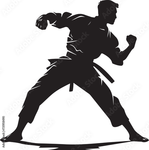 taekwondo silhouette vector illustration