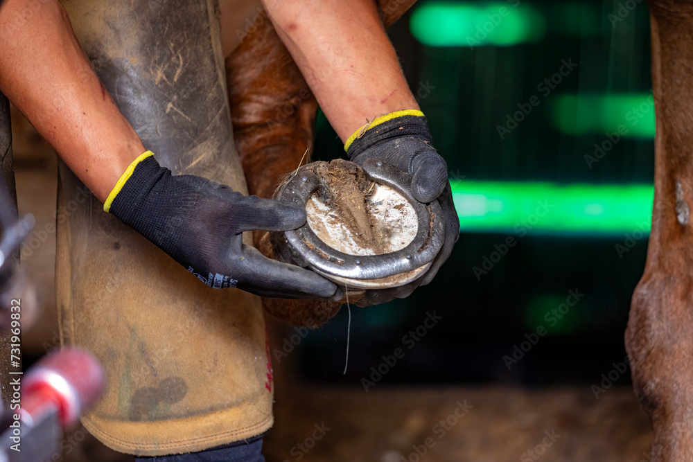 A blacksmith is working with horseshoe A blacksmith is working with horseshoe