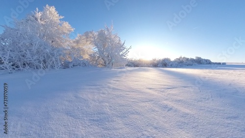 zauberhaft vereiste sonnige Winterlandschaft im Morgenlicht, Winterwunderland, Winterzauber, vereiste Bäume, Schnee, Kälte, Raureif, Natur, Idylle, Frost 
