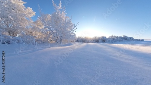 zauberhaft vereiste sonnige Winterlandschaft im Morgenlicht, Winterwunderland, Winterzauber, vereiste Bäume, Schnee, Kälte, Raureif, Natur, Idylle, Frost 