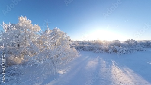 zauberhaft vereiste sonnige Winterlandschaft im Morgenlicht, Winterwunderland, Winterzauber, vereiste Bäume, Schnee, Kälte, Raureif, Natur, Idylle, Frost 