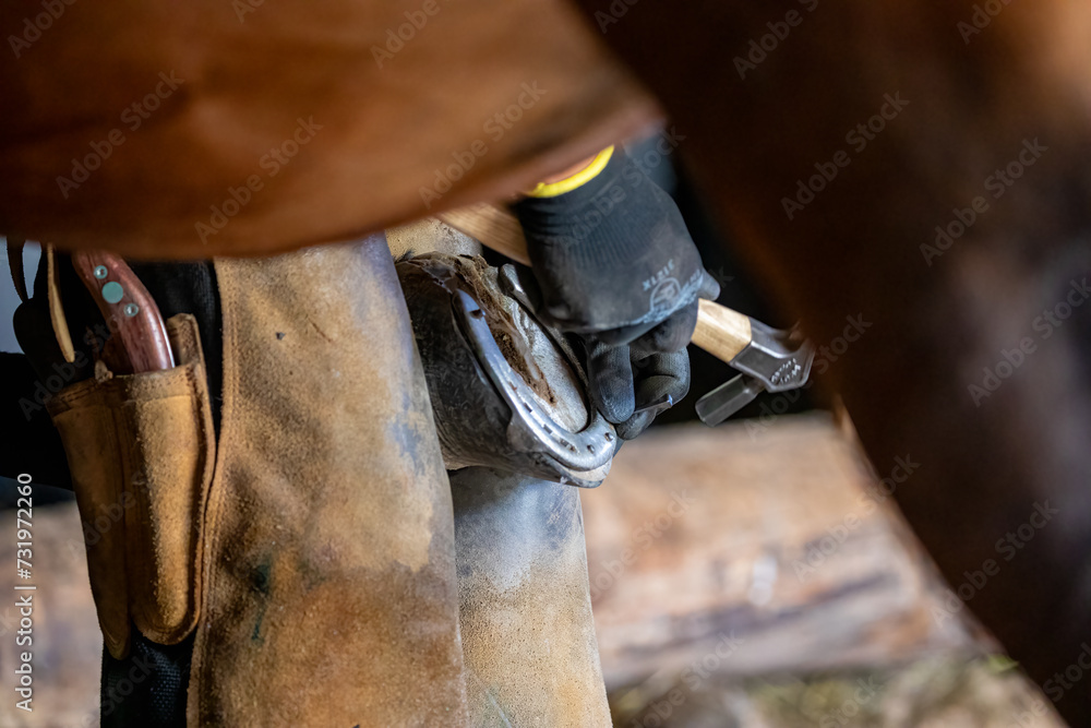 A blacksmith is working with horseshoe