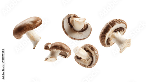 Group of Mushrooms on a Transparent Background