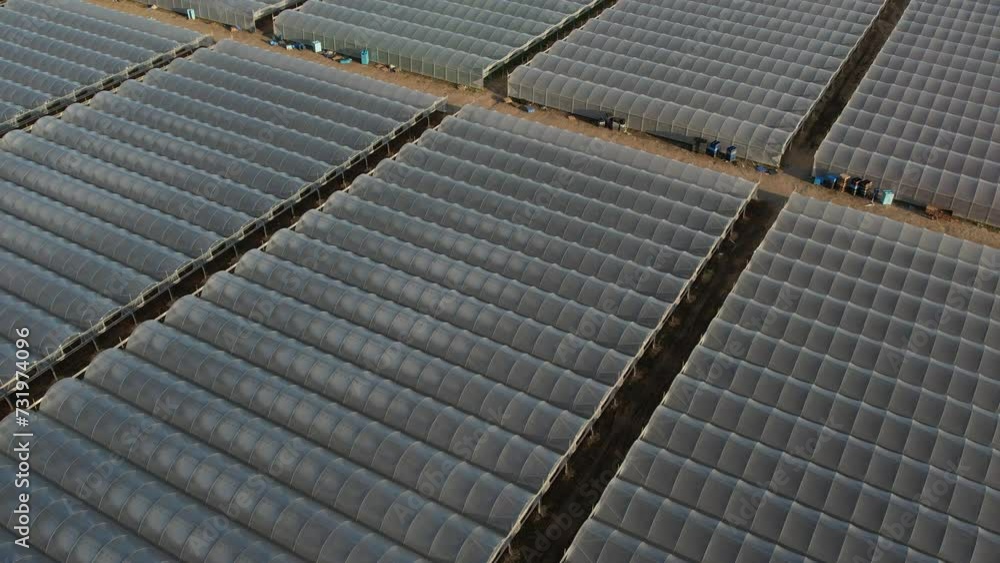 drone: coltivazione in serre, ripresa dall'alto di numerosi campi di serre.