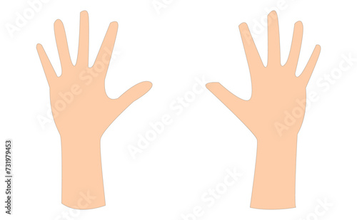 Two Hand icon vector isolated on white background. Vector illustration. Eps file 207.