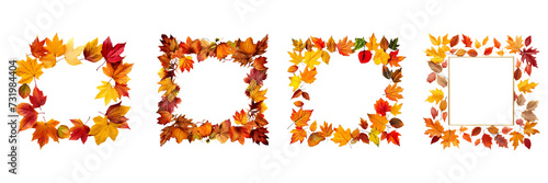 Set of autumn colorful leaves frame border on a transparent background