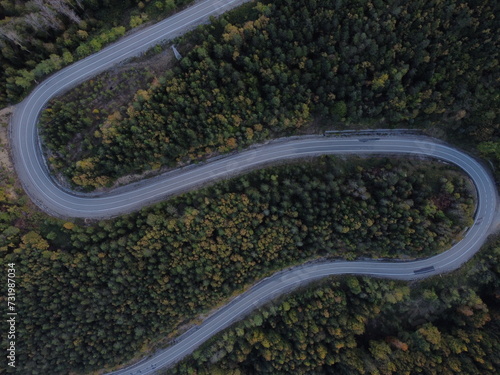 Aerial autumn view jungle and road 