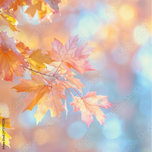 Autumn-Inspired Banner With Soft Light  Maple Leaves  And Bokeh Background - Ideal For Seasonal Year-End Activities. Concept Winter Wonderland Landscape  Festive Holiday Decorations