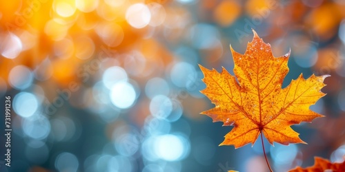 Enchanting Fall-Themed Banner With Delicate Maple Leaves  Soft Lighting  And Bokeh Background  Ideal For Year-End Festivities