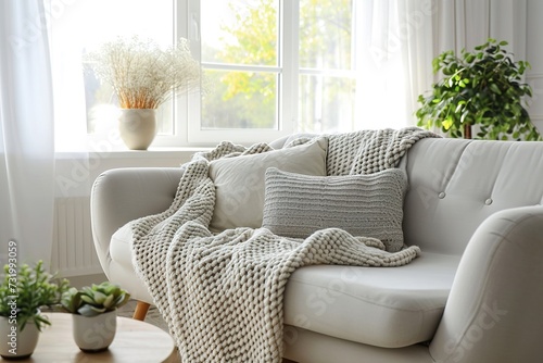 Comfortable sofa with blanket in stylish room.