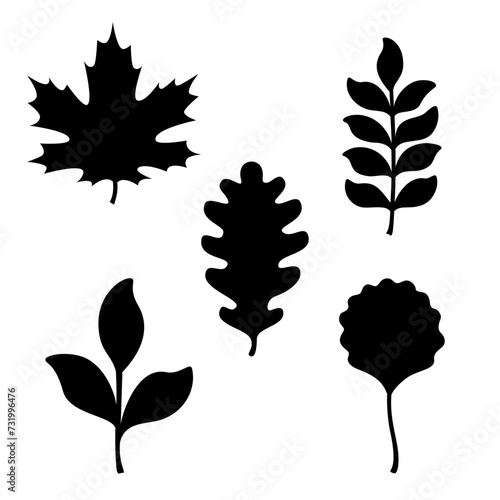 Leaves black silhouettes. Vector autumn or spring illustrations. Isolated on white background. Flat style. Simple plant outlines for paper or laser cutting and printing on any surface.