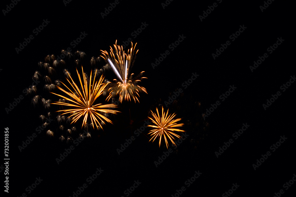 Fototapeta premium Fireworks in Szeged at night