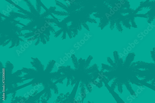 Fototapeta Naklejka Na Ścianę i Meble -  Coconut palm tree on sky background. Monochrome composition ideal for backdrop.