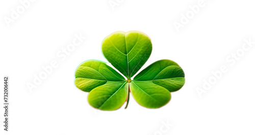 Four leaf clover (shamrock) isolated on multicolored rainbow background. A four-leaf clover set against a vibrant rainbow, symbolizing luck, hope, and the beauty of nature