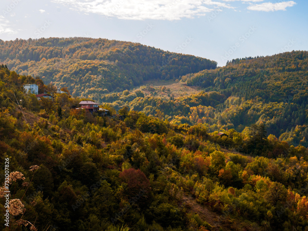 Fototapeta premium OLYMPUS DIGITAL CAMERA