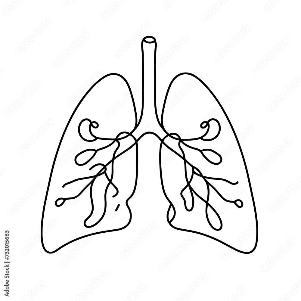 Lightweight in a line drawing style Lightweight in a line drawing style