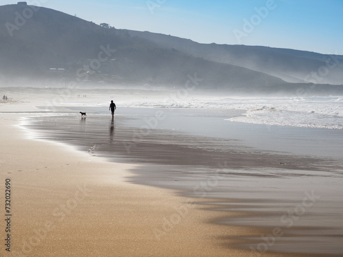 Playa con una persona con su perro paseando y disfrutando del sol