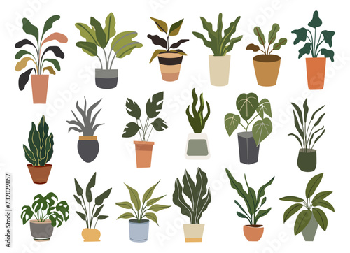House Plants in pot set. Collection of different indoor potted decorative houseplants for interior home, office decoration, green garden. Flat vector illustrations isolated on white background.
