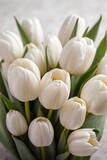 Bouquet of white tulips on a white background. Selective focus.