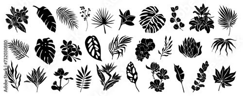 Set of black silhouettes of tropical leaves, flowers. Hand drawn elegant exotic eucalyptus, monstera leaves, lotus, birth of paradise, magnolia, hibiscus flowers. Trendy botanical vector.  photo