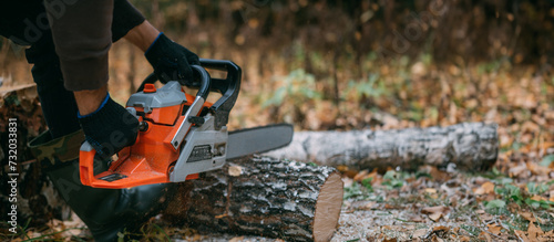 A man is sawing a tree with a chainsaw. A young guy works in a pine forest photo