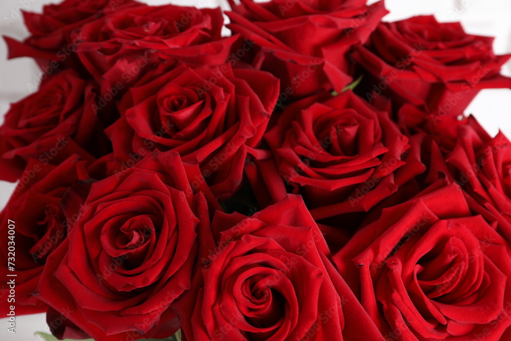bouquet of roses bouquet of roses