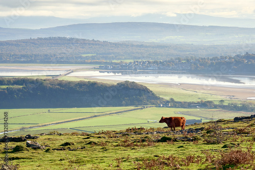 Arnside and the river Kent estuary viewed from Hampsfell.