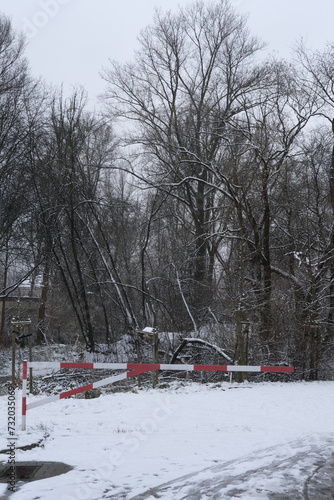 Some trees in the suburbs under the snow. Krakow, Poland - November 28, 2023. © Yann Vernerie