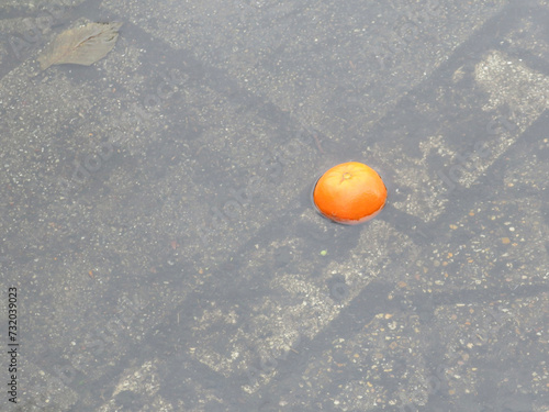 orange tangerine laying in a pool of water on the road