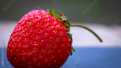 Close up of fresh strawberry showing seeds achenes. Details of a fresh ripe red strawberry. photo