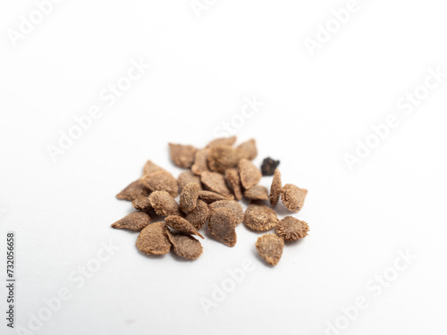 Tomato seeds on a white background. Tomato seeds close up.