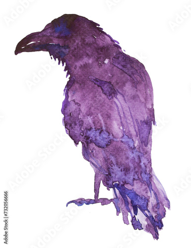 Photography Beautiful watercolor raven silhouette illustration isolated on a white background
