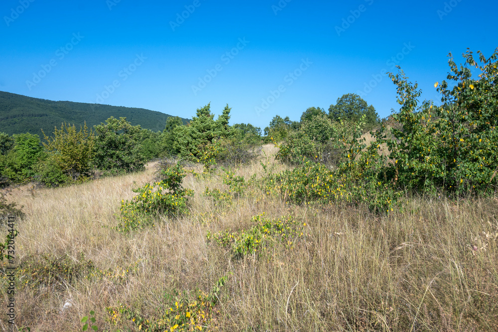 Summer Landscape of Rudina mountain, Bulgaria