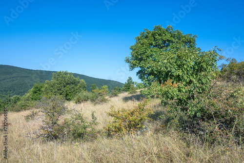 Summer Landscape of Rudina mountain, Bulgaria