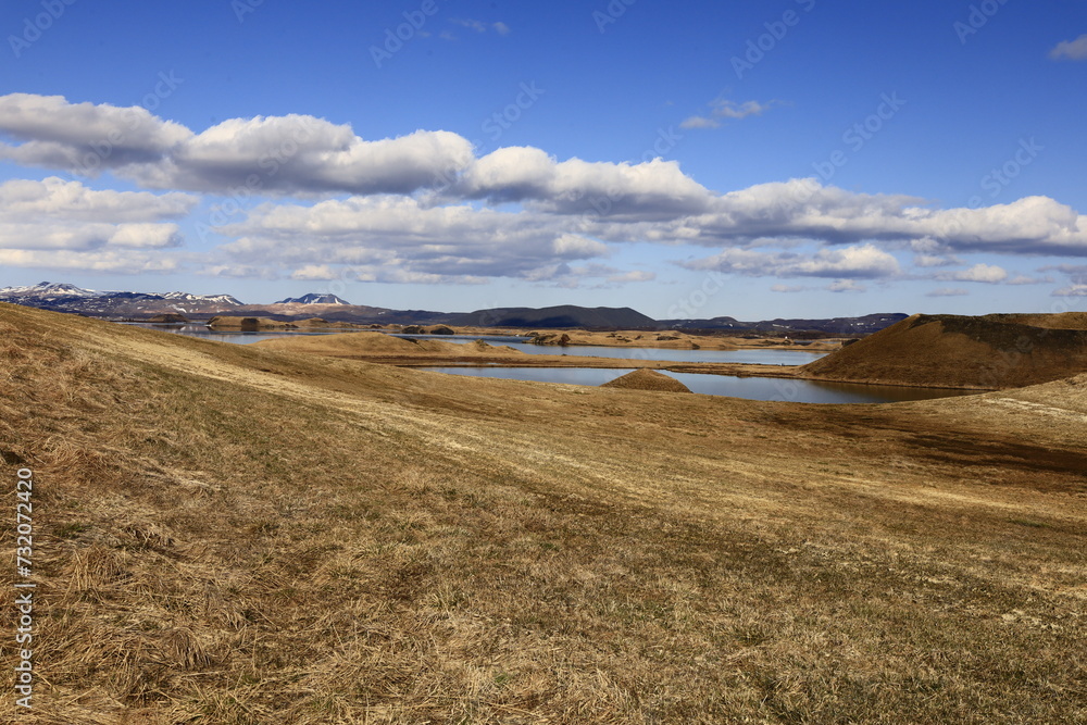 Obraz premium Mývatn is a shallow lake situated in an area of active volcanism in the north of Iceland, near Krafla volcano