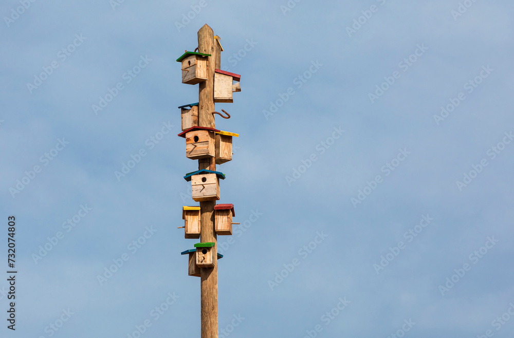 Pole with many bird boxes atached Pole with many bird boxes atached
