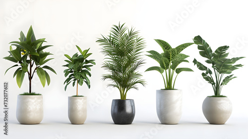 Plants in 3d renderinBeautiful plant 