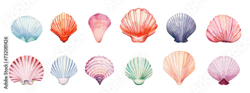 Seashells clipart. Watercolor seashell isolated on white background. Underwater and beach objects, decorative elements for aquarium, vector set