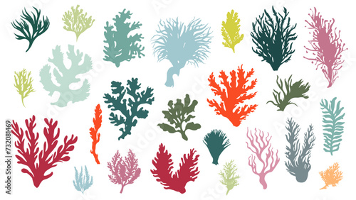 Seaweeds silhouettes. Isolated algae, seaweed colorful symbols. Ocean and sea plants, underwater world nature. Aquarium elements, vector set