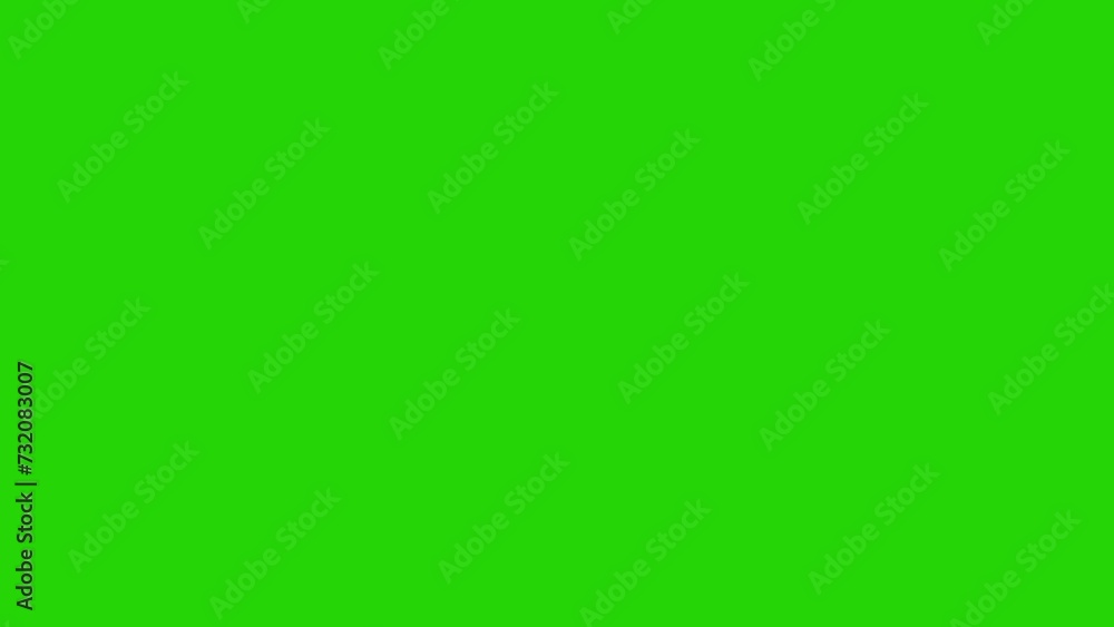 Snowfall Loop on Green Screen - Winter Snow Falling Down Cartoon Animation with Snowflakes Dropping Down, Snowing, Christmas, New Year Snowfall Loop on Green Screen - Winter Snow Falling Down Cartoon Animation with Snowflakes Dropping Down, Snowing, Christmas, New Year