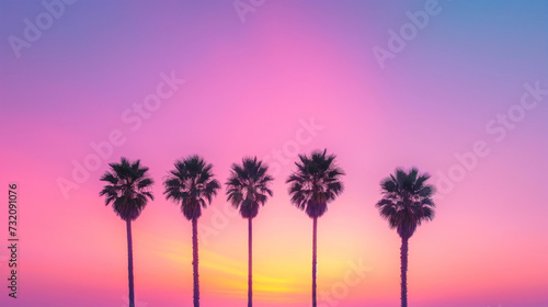 View of tall palm trees against a rainbow sky