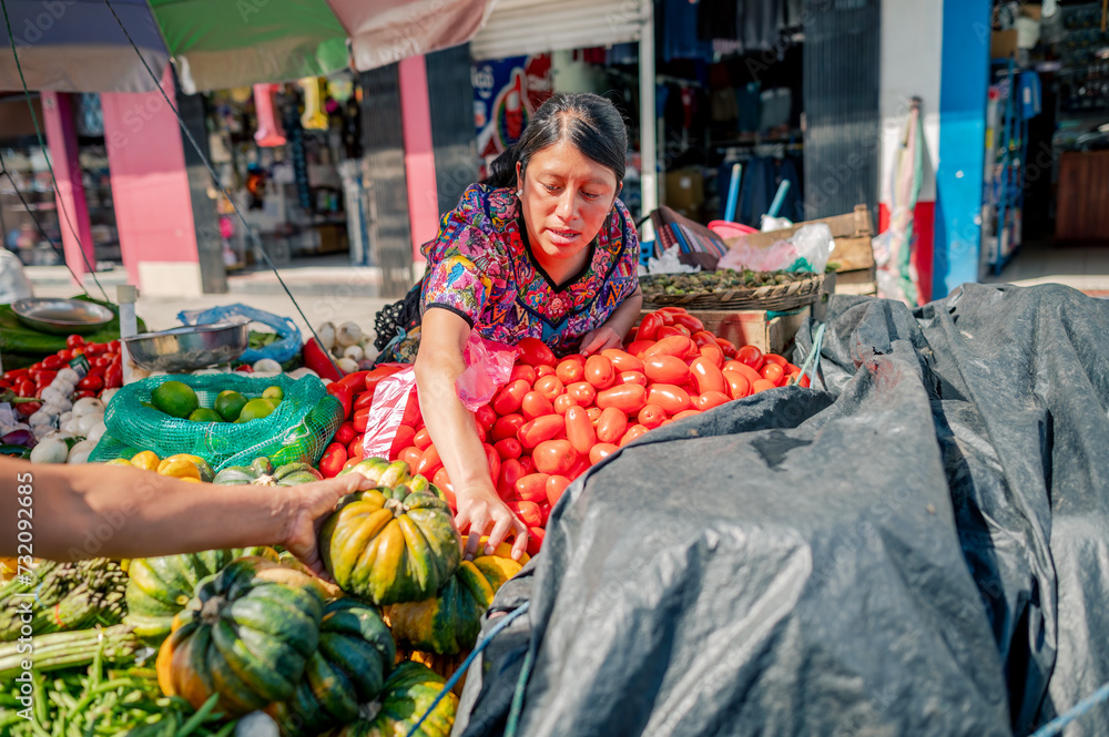 Saleswoman looks for the best tomatoes to sell.