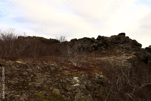 Dimmuborgir is a large area of unusually shaped lava fields east of Mývatn in Iceland