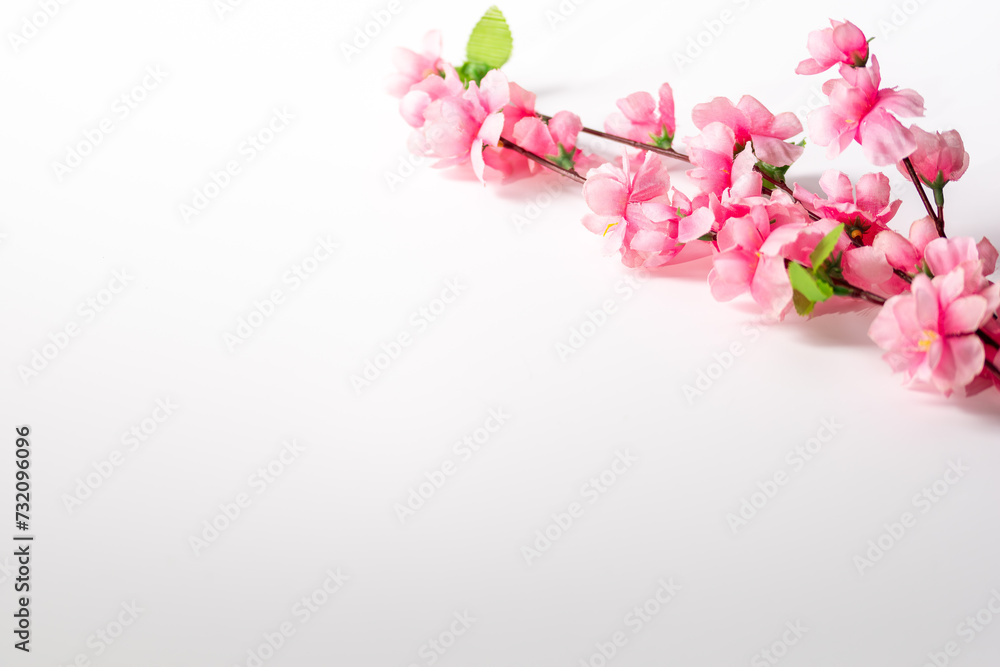 pink flowers pink flowers