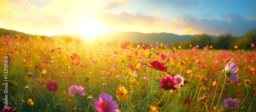 The sky is filled with happy clouds as the sun shines on a natural landscape of flowers, painting an artistic scene with petals, grass, and people enjoying nature.