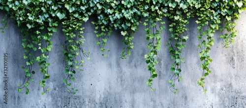 Green plants decorate a concrete wall creating a vertical garden photo background, showcasing the beauty of nature and promoting an eco-friendly environment.